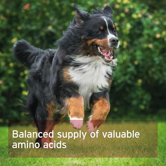 AniForte Taurine for Dogs 100g - Amino Acid Pet Supplement to Help Muscle Tremors & Nerve Function
