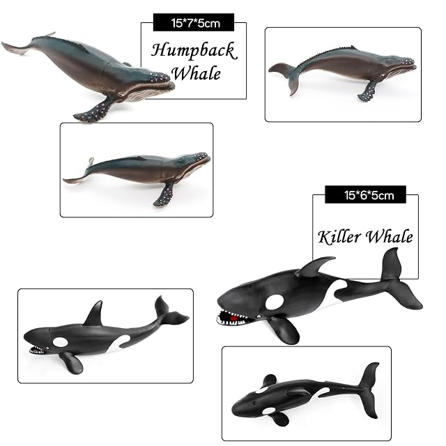 Foto 4 de 5 de Fun Gift Juego de juguetes de animales marinos, 8 figuras marinas de animales para niños