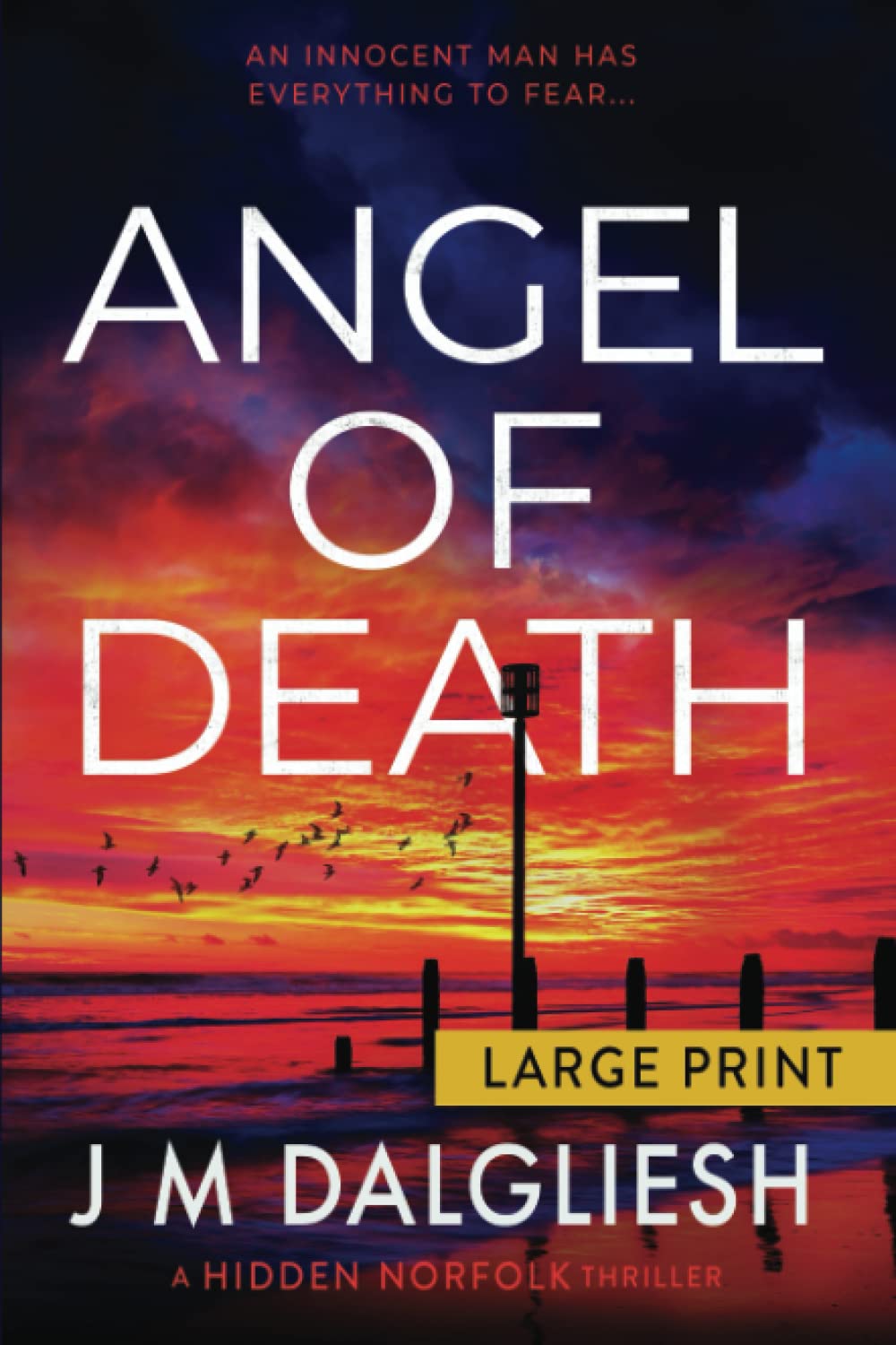 Angel of Death: A Hidden Norfolk Thriller (Large Print)