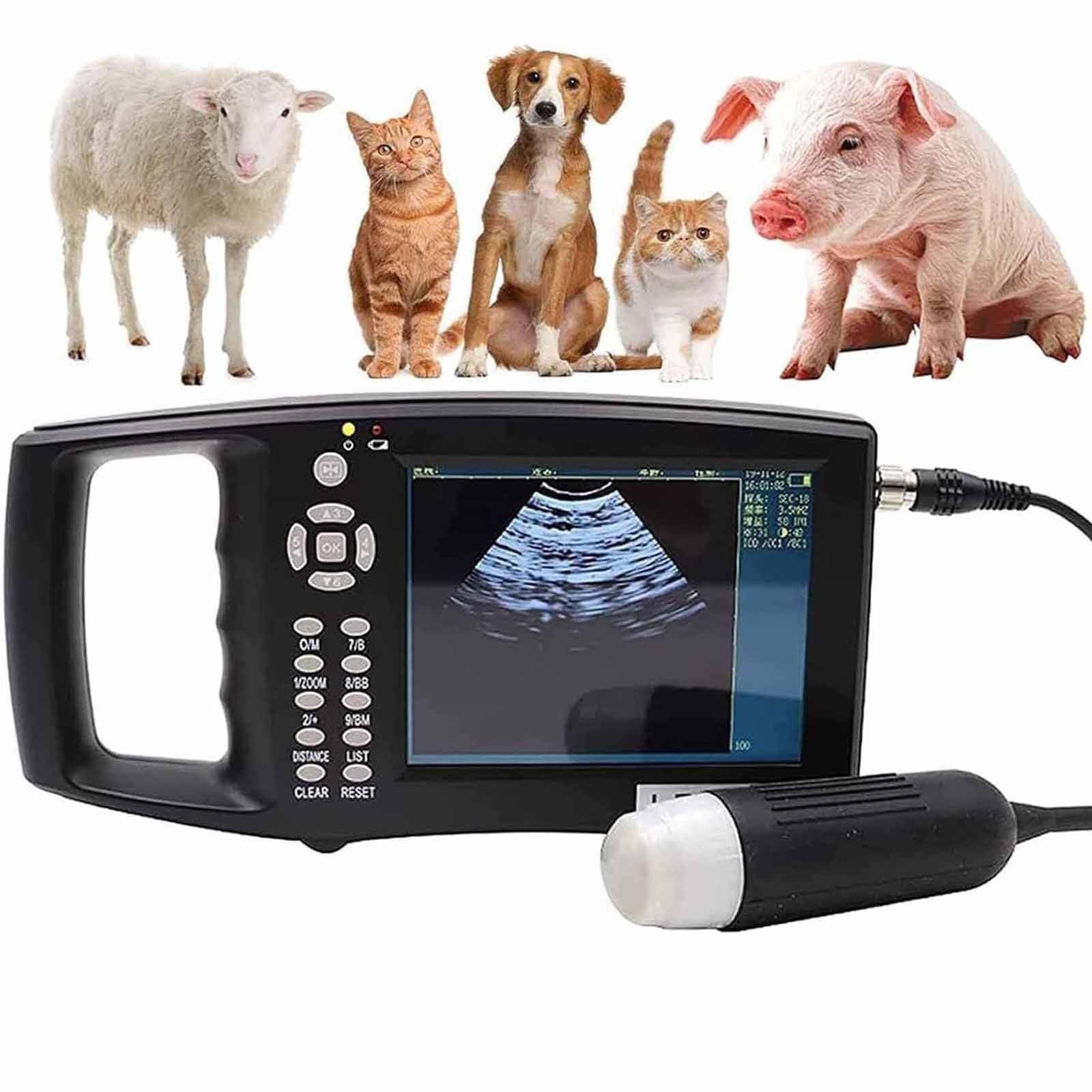 échographe Vétérinaire Portable avec Sonde 3,5 MHz,pour Porcs Et Ovins Echographie Appareil Grossesse Multifonction avec Lecture HD Couleur,pour Tests De Grossesse HD