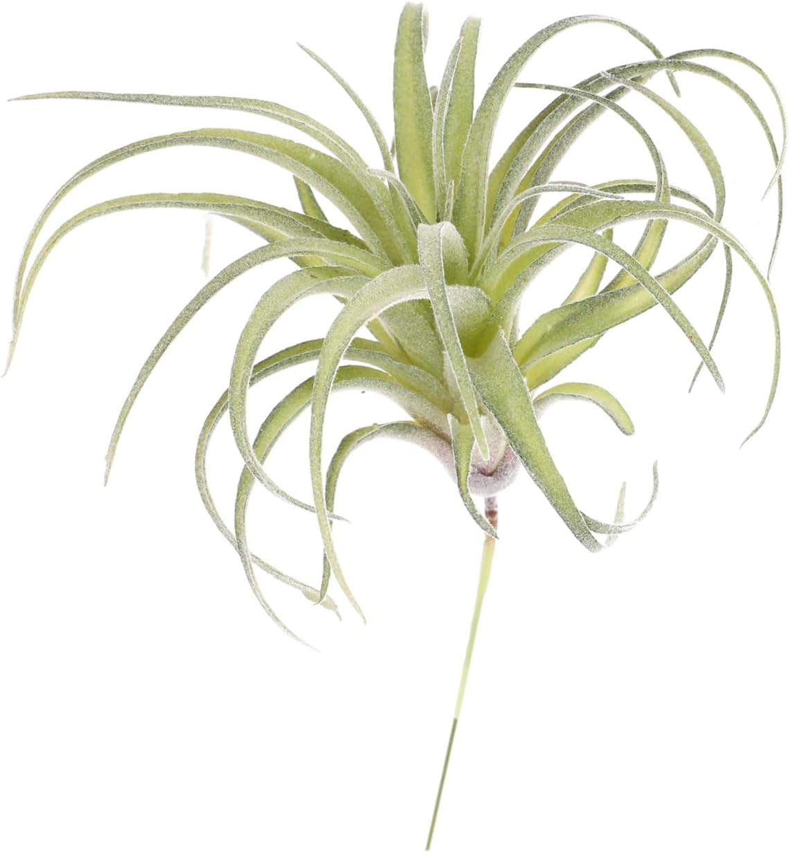 Veemoon 1pc Pineapple Decor Air Plants Artificial Succulent Terrarium Decorations Faux Tillandsia Bromeliad Faux Flocked Tillandsia Air Plants Artificial Flower Succulent Container