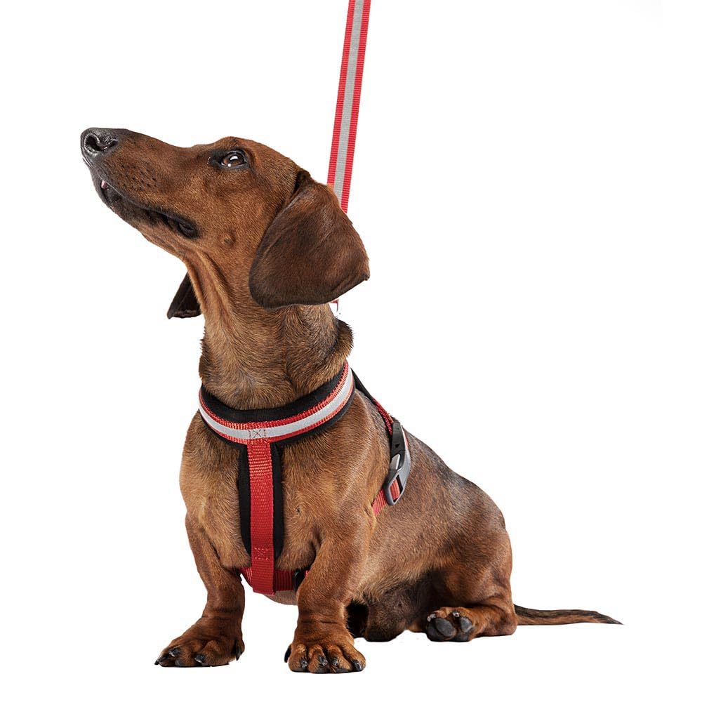 Ferplast Dog Harness DAYTONA CROSS, Small Dog Harness in Nylon, Padded, Reflective and Adjustable. With Magnetic Buckle. Black - Image 2