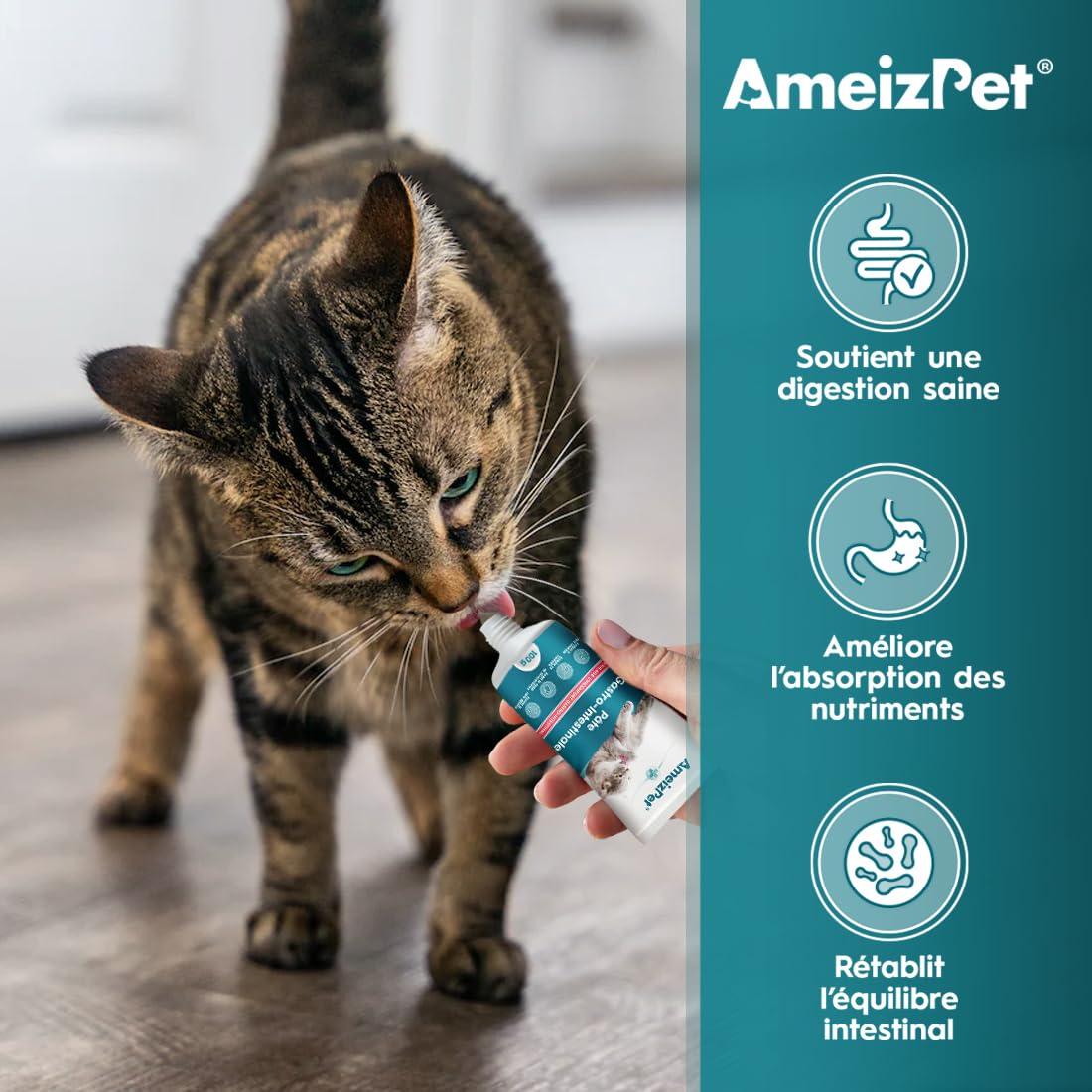 AmeizPet Pâte Gastro Intestinale pour Chats, Soutien Gastro Intestinal pour la Santé Intestinale et la Flore Intestinale, Complément Digestif pour Chats et Chatons, 100 g (3.53 Oz)