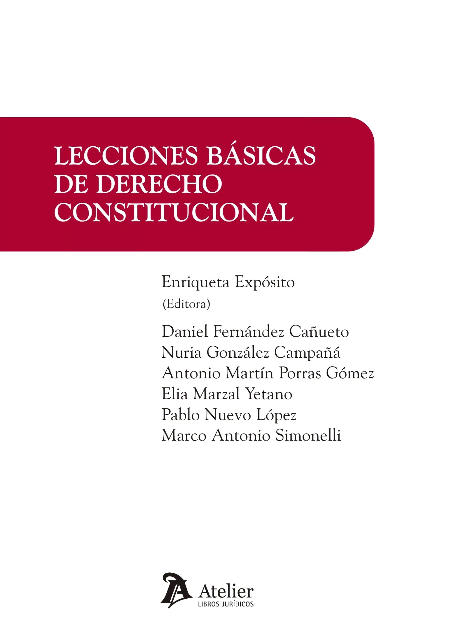Lecciones básicas de Derecho constitucional (MANUALES)