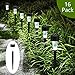 GIGALUMI Solar Lights Outdoor Garden Led Light Landscape/Pathway Lights -16 Pack