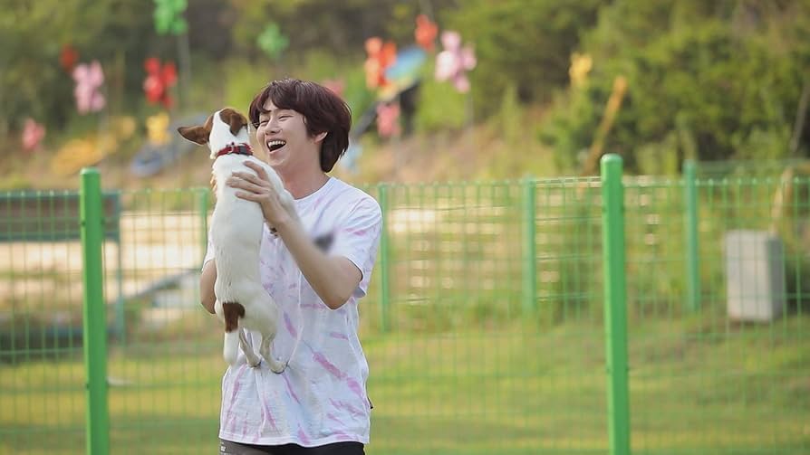 パク・シフ&ヒチョルの旅するわんこ DVD-BOX Amazon.co.jp: パク・シフ&ヒチョルの旅するわんこ DVD-BOX