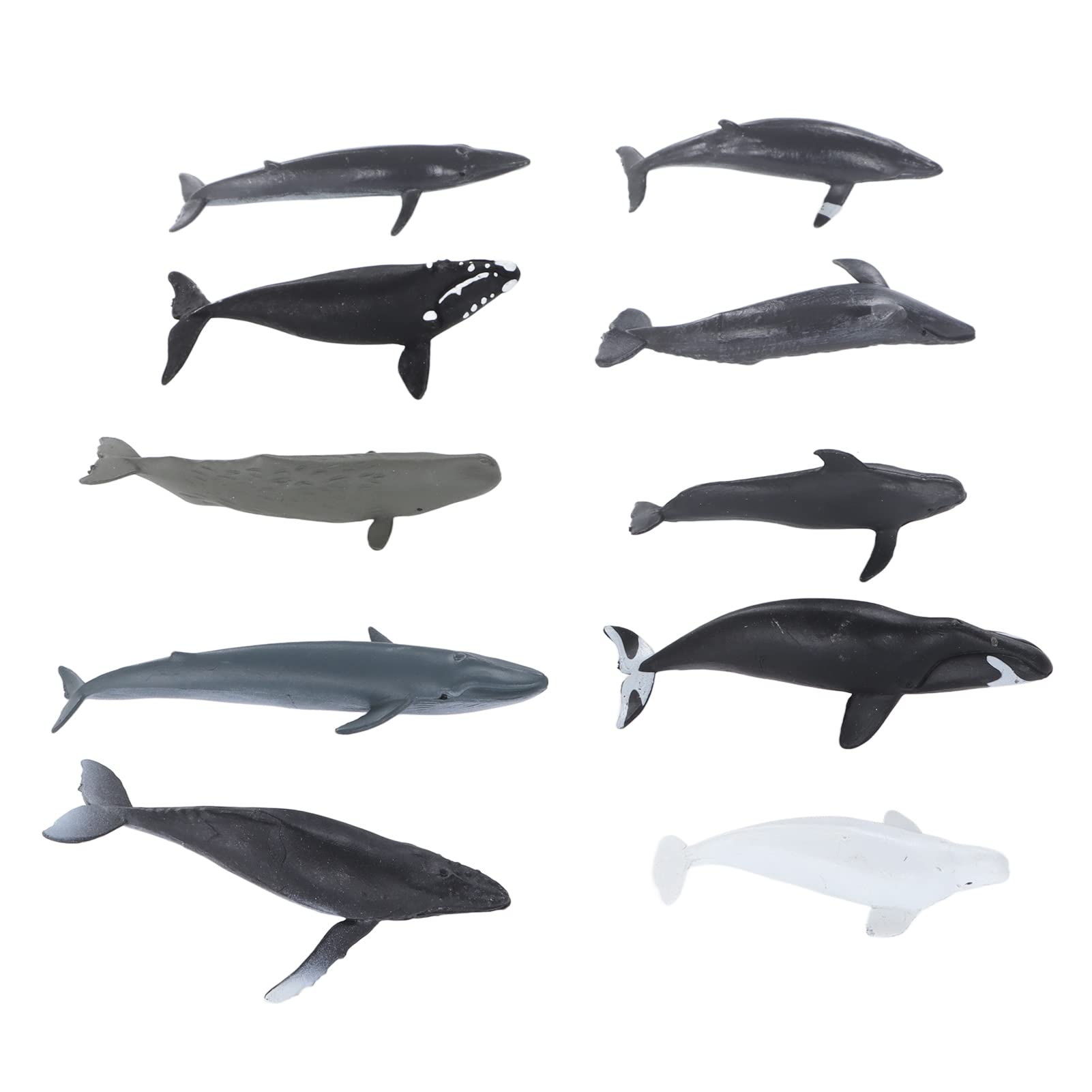 Sculpture Baleine ZARDINA – Décoration Bureau – Édition Limitée