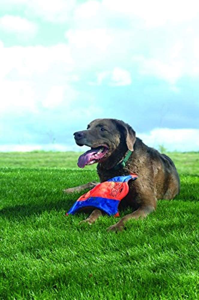 Chuckit! Flying Squirrel Toss Toy Floats Small 9" - Pack of 2