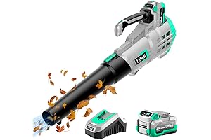 Litheli 20V Corded/Cordless Electric Snow Blower