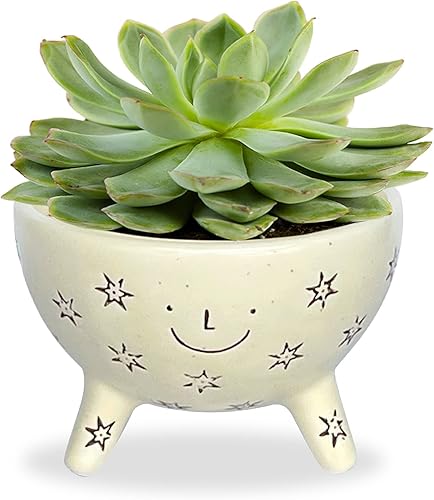 SLS SUPPLY FLORA Facepot - Maceta de cerámica con cara sonriente, suculenta y maceta para el hogar y la oficina, bonito jarrón para jardinería