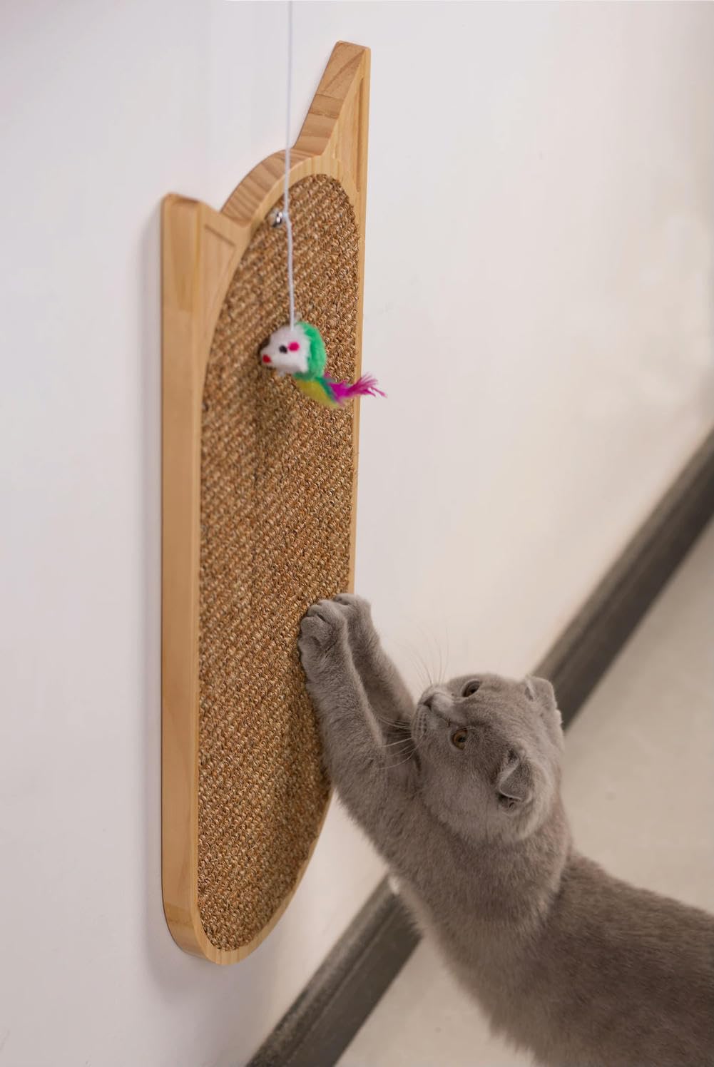 OPica Tiragraffi Per Gatti Per Gattini Adulti In Sisal Montato A Parete