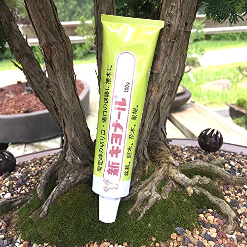 Kiyonal New Bonsai Pruning Cutting Paste 100G Made In Japan #TOP5