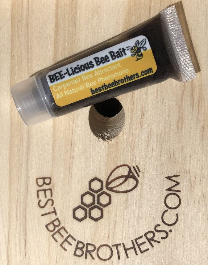 Best Bee Brothers Bee-Licious Bee Bait