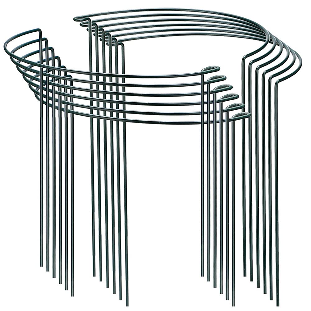 Pomoflexi Pack of 12 Semi-Circular Ring Plant Garden Flower Support Stakes,for Flowers Plant,Border Support