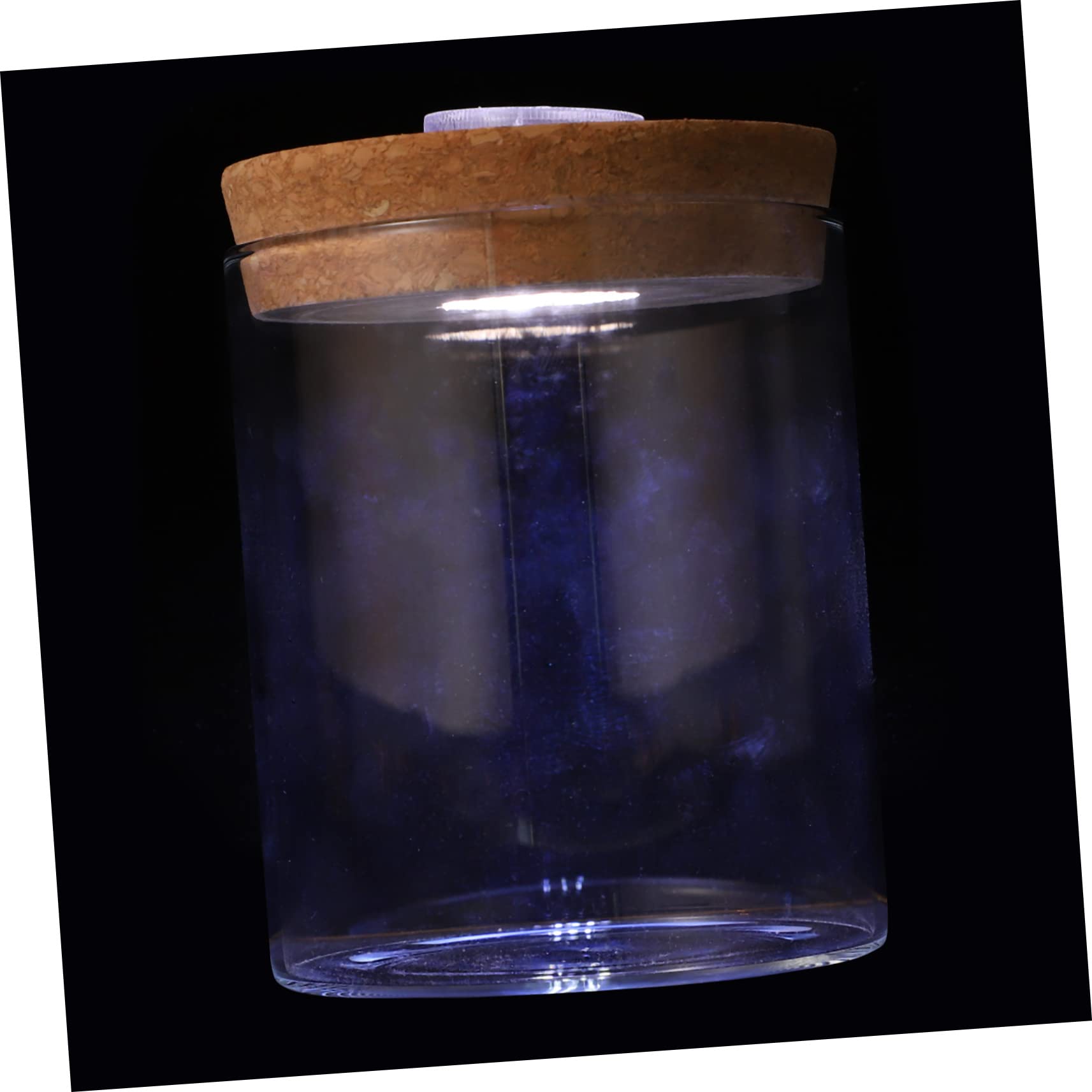 BUGUUYO Mini Cylindrical Microlandscape Bottle in Borosilicate Glass, Easy to Observe Jar for Flowers Mini, DIY Micro Landscape Décor for Sensory Aquarium