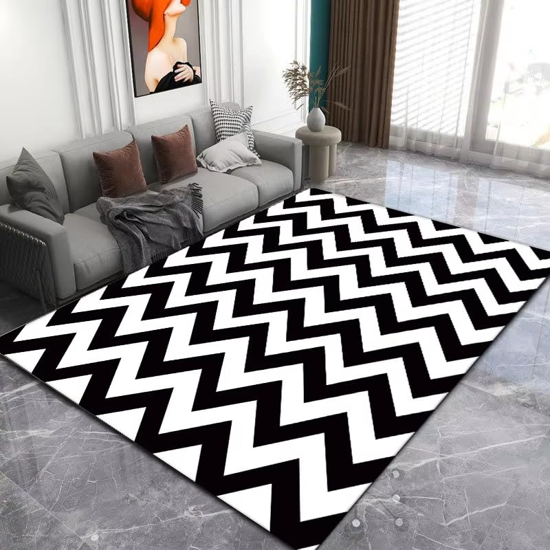 Tapis de salon antidérapant tapis scandinave lavable noir et blanc grande surface