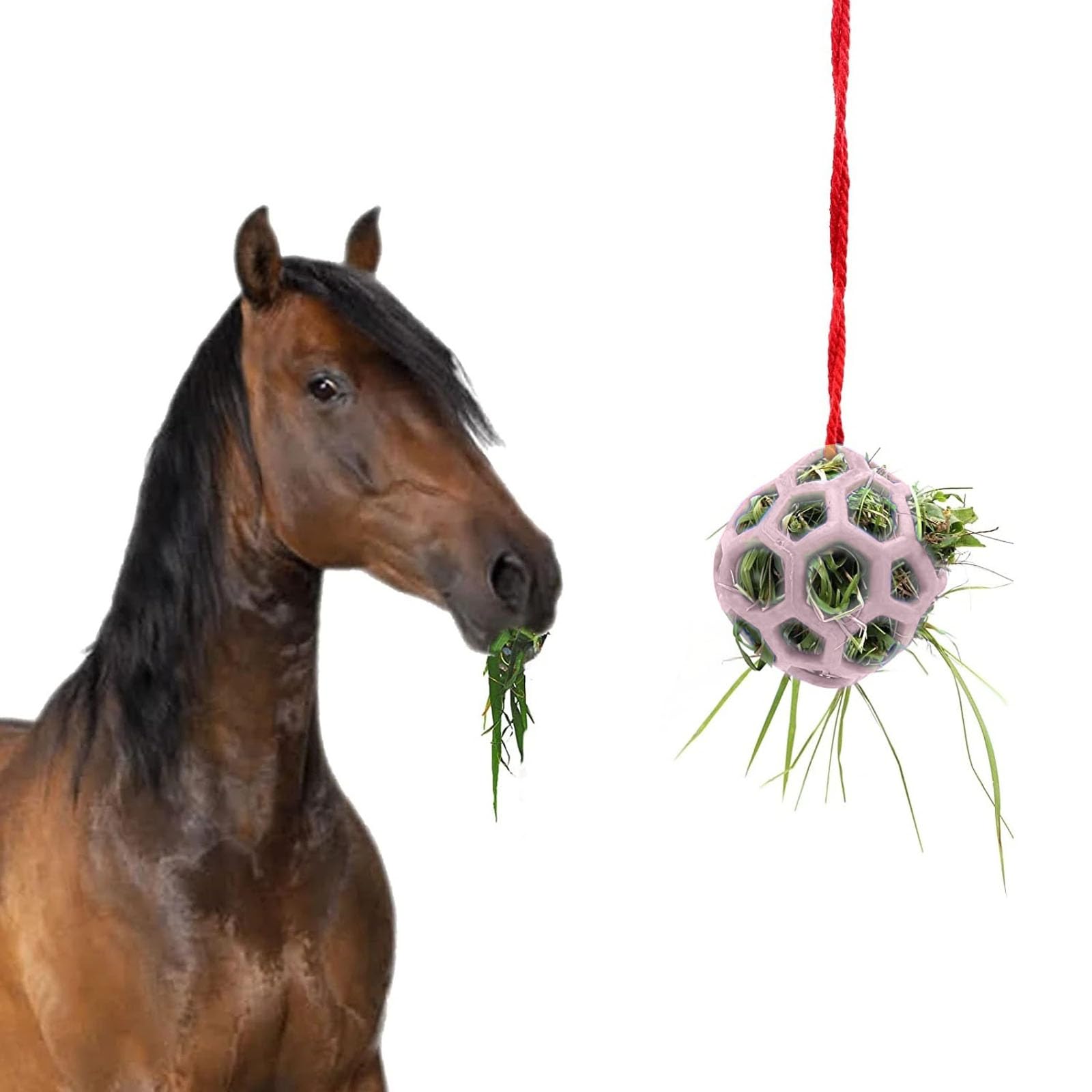 BT Bear Pet Hay Feeder Ball,Horse Treat Ball Hanging Interactive Feeder Toy for Rabbits Goat Pony,Pink