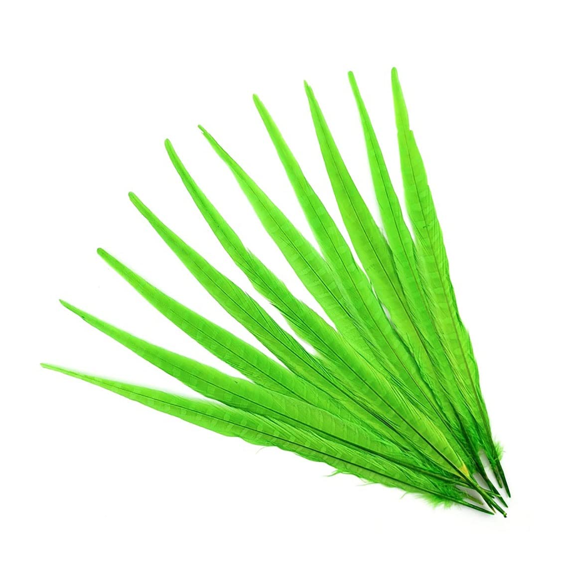 Plumas de faisán para tocados de carnaval accesorios manualidades
