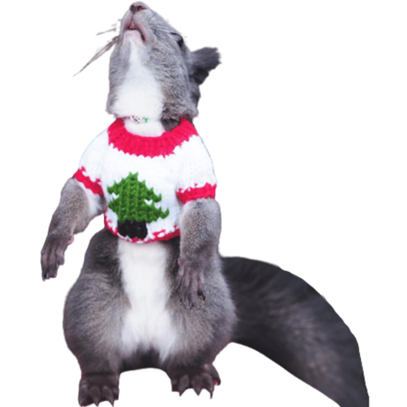 Squirrel Clothes,Christmas Sweater Small Animal Apparel Pet Winter Warm Walking Fleece Outdoor Outfit New Year Festival Holiday Costume Pet Supplies (Red)