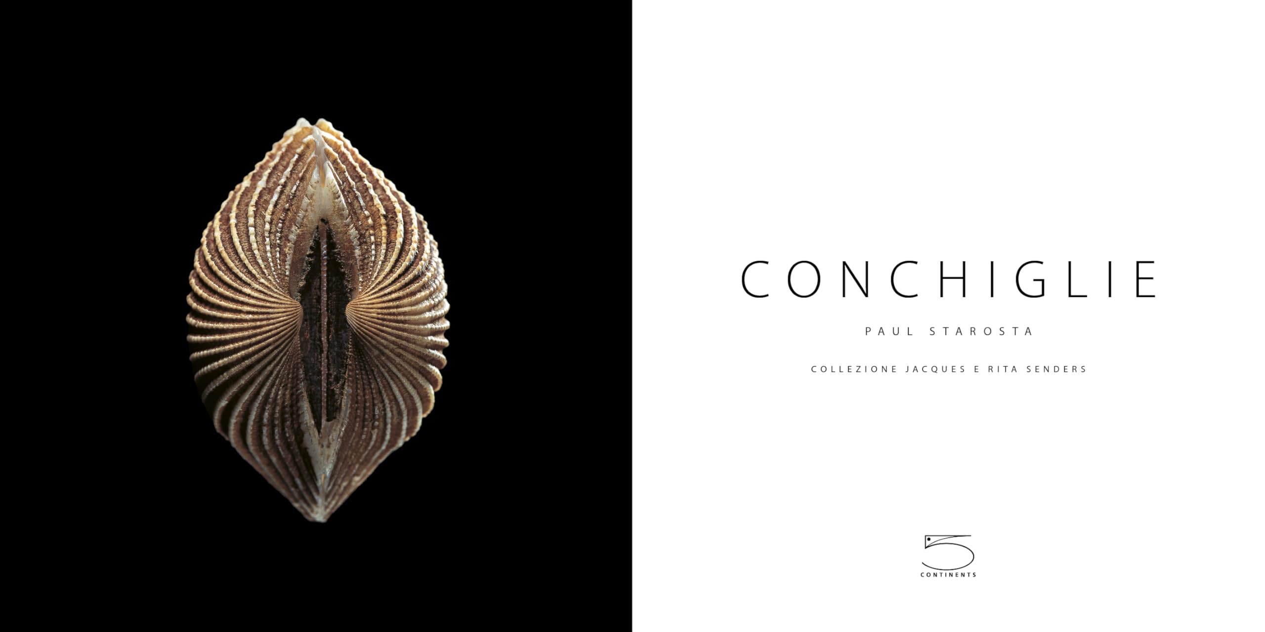 Conchiglie. Ediz. a colori