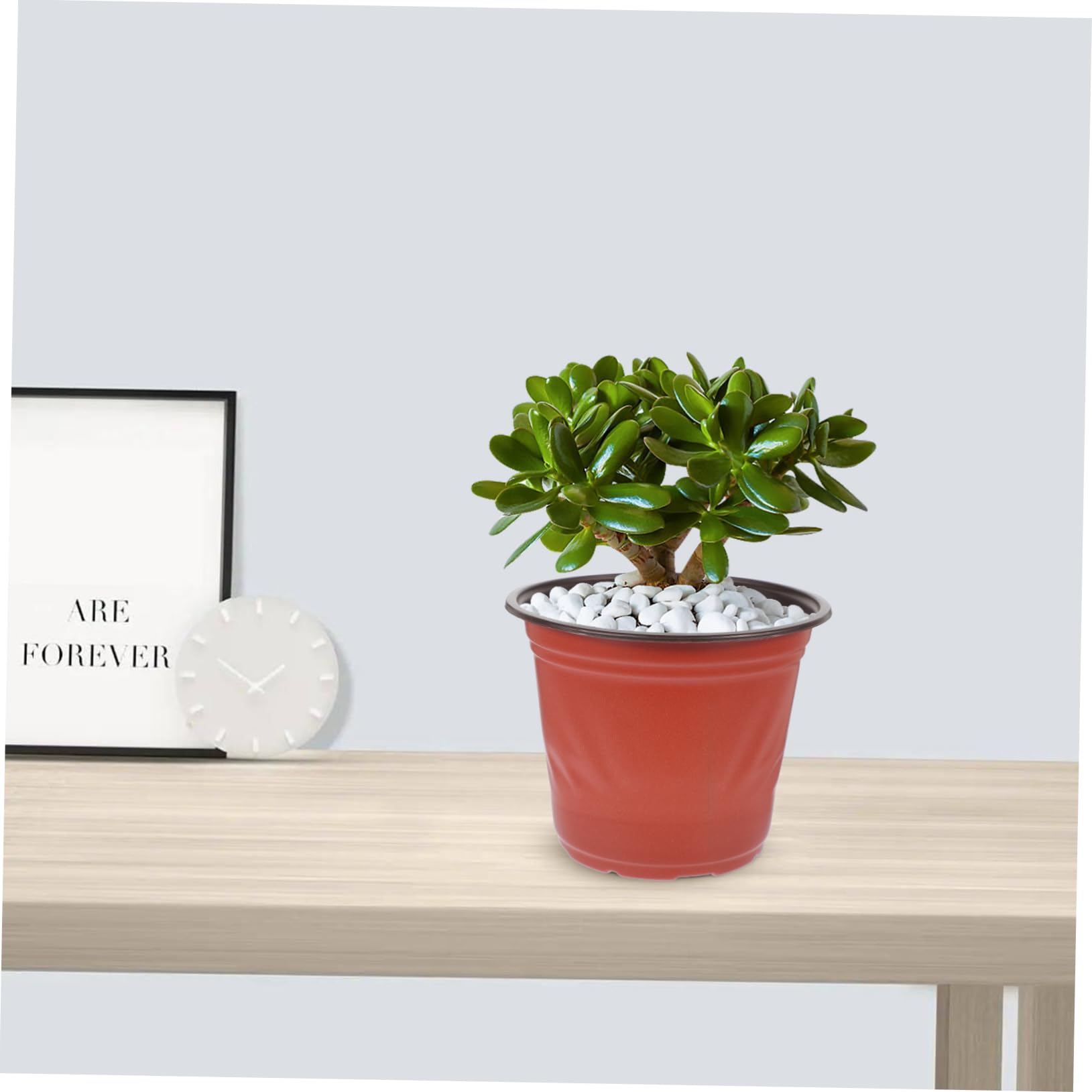 Pots de Fleurs en PP Bicolore 4.65 Pouces Lot de 50 pour Jardinage et Plantes Succulentes Réutilisables