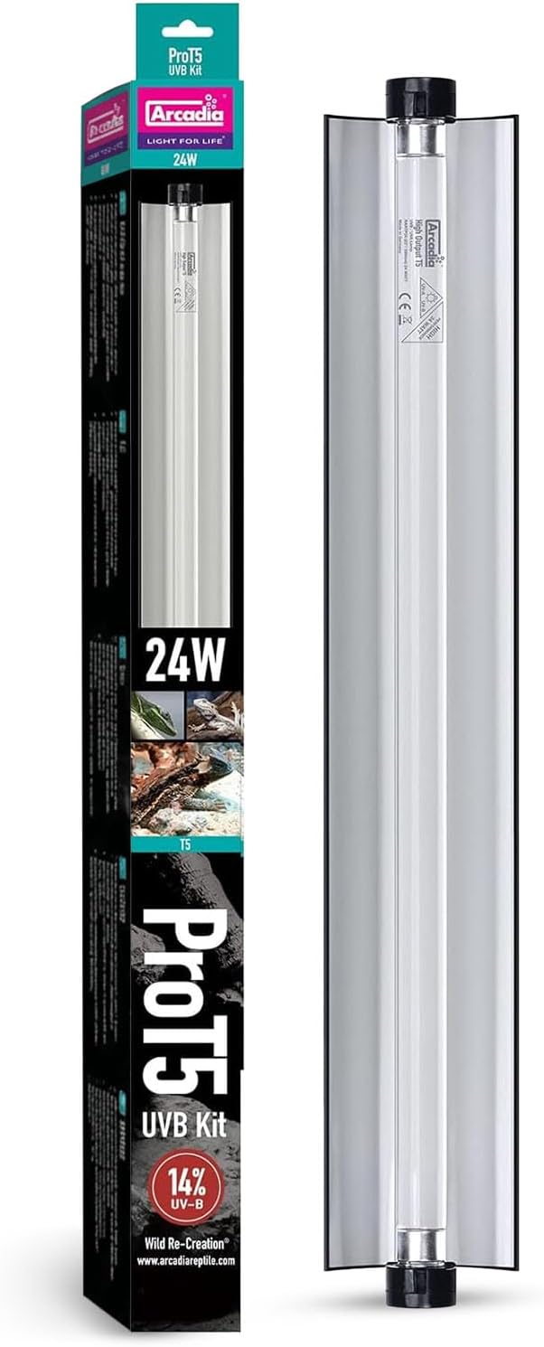 Arcadia Pro T5 UVB Lighting Kit - 24W - Dragon