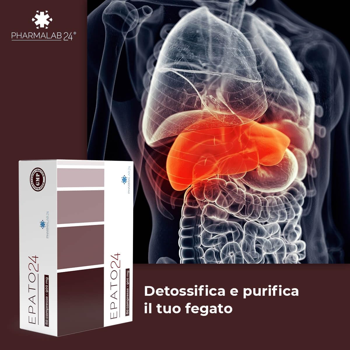 Epato24 | Integratore Fegato Grasso Disintossicante Forte, Integratore Alimentare per Steatosi Fegato - 60 Compresse da 900 mg