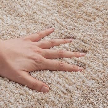 【3/26までの出品】NITORI アクセントラグS シャギー 51Mlkm56eVL._UF350,350_QL80_.jpg