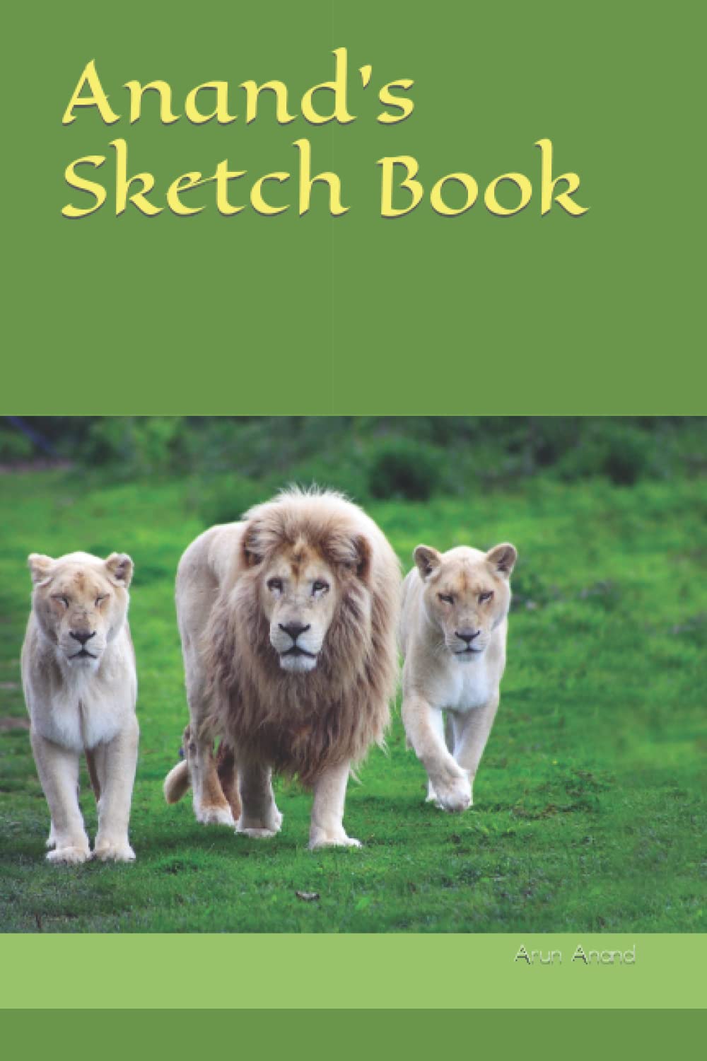 Anand's Sketch Book
