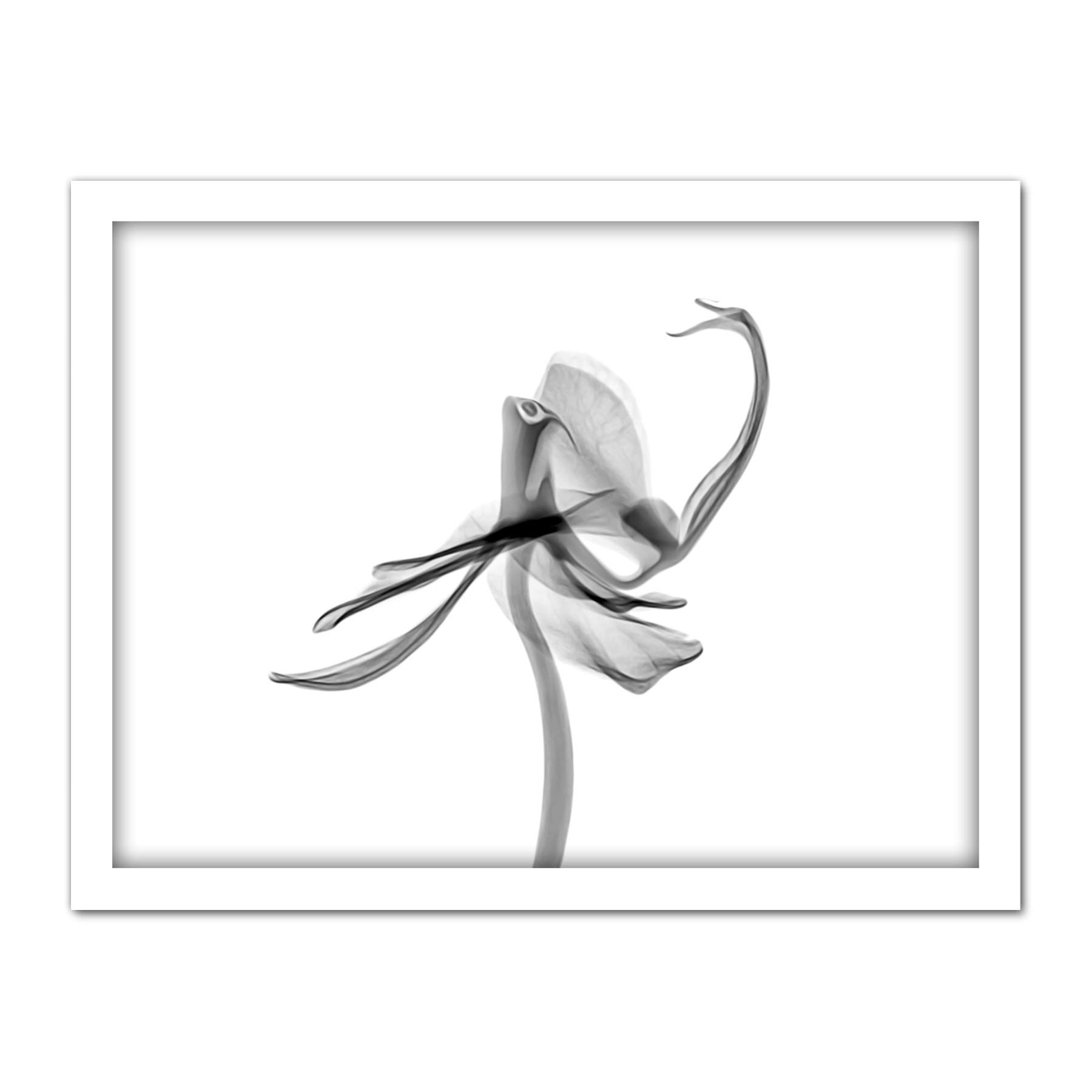 Schwartz NJIT Plant Transparent Greyscale X-Ray Photo Artwork Framed Wall Art Print 18X24 Inch