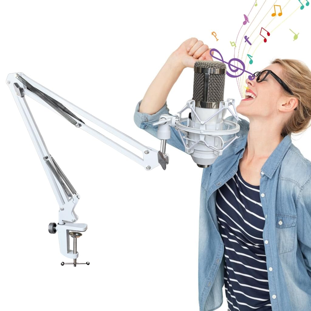 Bras de microphone réglable en métal pour enregistrement et diffusion