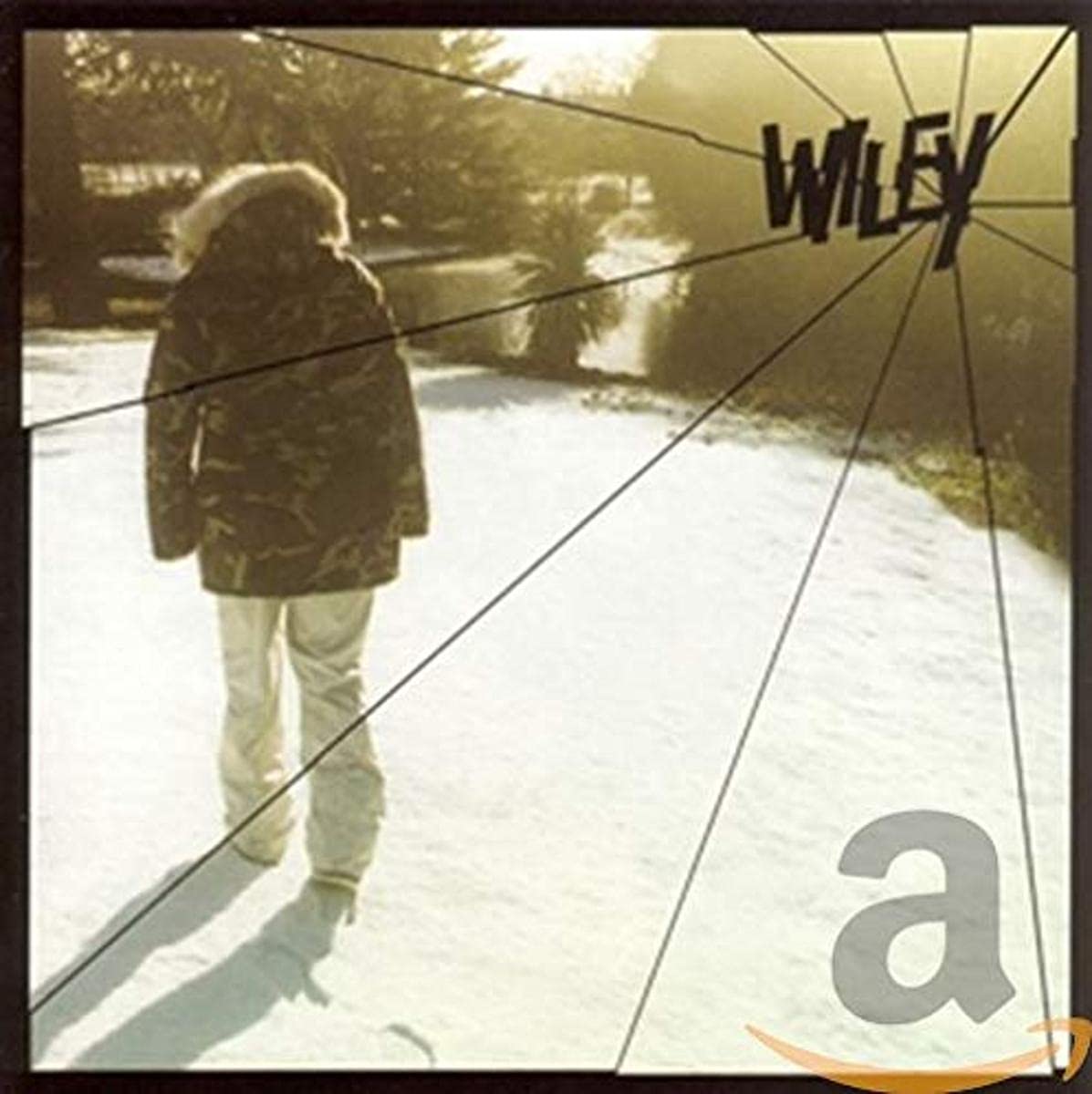 Treddin On Thin Ice [Audio CD] WILEY