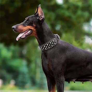 Leather Spiked Dog Harness and Collar Set - Suitable for Large Breeds Bull Terriers, Dobermans - Durable Leather Harness with Metal Studs and Matching Collar Leash (M, Studs Red)