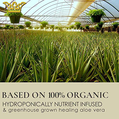 Gunilla Ceramide Cream A17 - Concentrated 24-Hour Anti-Aging Moisturizer - 17 Actives & Botanicals - Plump, Soften & Help Reduce Fine Lines & Wrinkles. Natural - Vegan (2 Oz) #TOP6