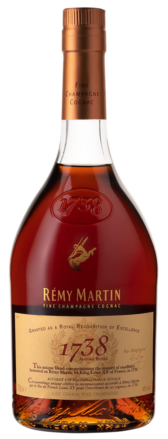 レミーマルタン エイジ 700ml レミーマルタン VSOP ファインシャンパーニュ REMY MARTIN FINE