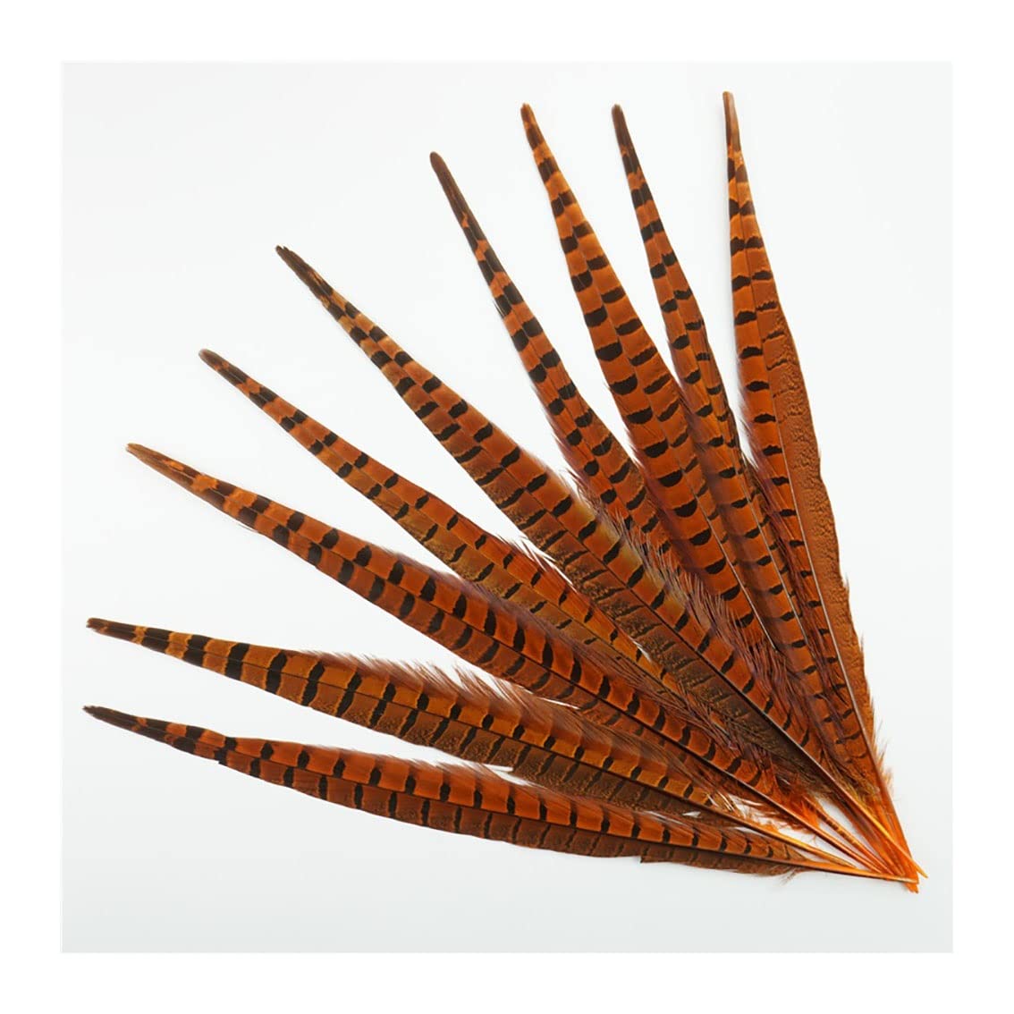 Plumes de queue de faisan naturelles de 40-45cm pour coiffes et haute couture