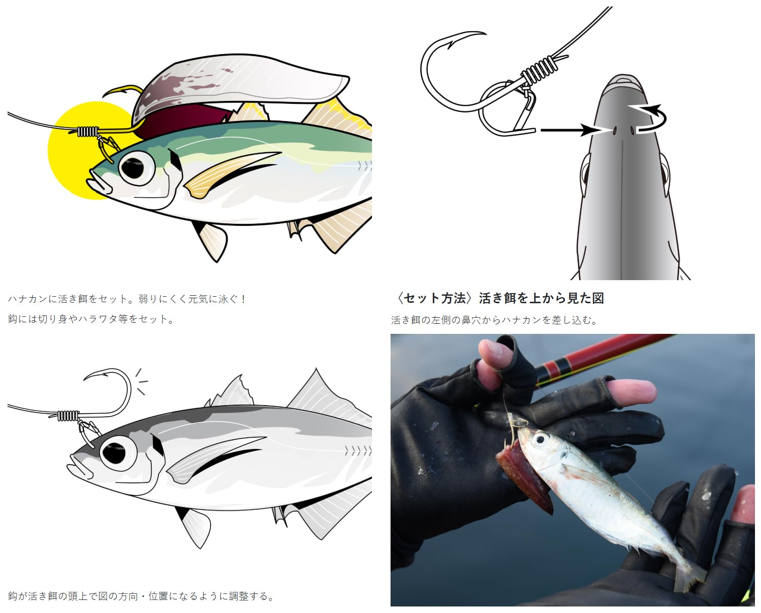 Amazon | がまかつ(Gamakatsu) 糸付 海上釣堀マリンボックス 青物 