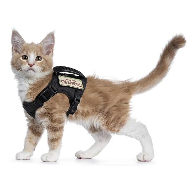 Arnés táctico para Gatos para Caminar a Prueba de Escapes