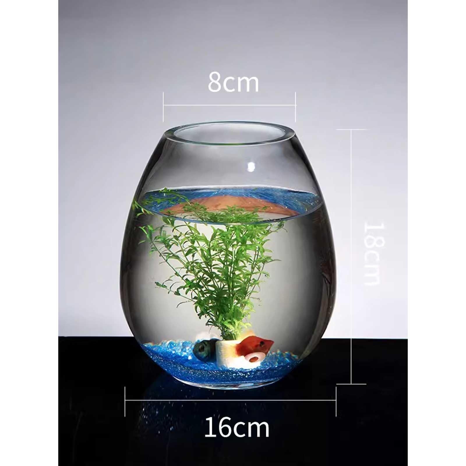 Petit aquarium en verre pour poissons rouges de combat, décoration de salon