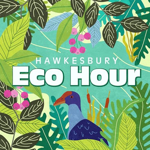 『Mapping Koala Corridors: A Conversation with Stephanie Carrick』のカバーアート