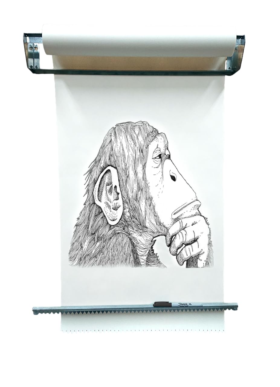 MegaMaxx Artist Wall Mounted Paper Roll Dispenser with Cutter Bar Stationery Holder for Office, Home, Play Room, Workshop, Design Studio, Business Setting - 515x100mm (Bare Steel)