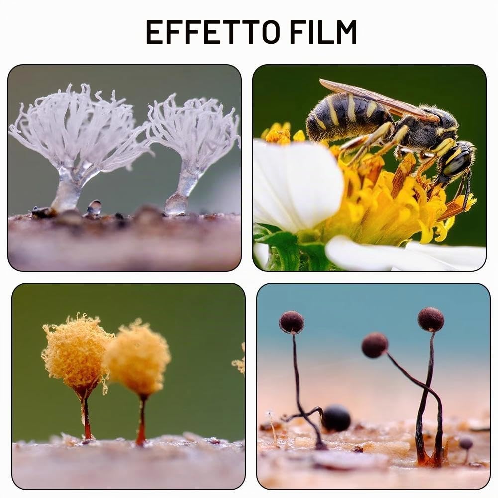 12 carte di sfondo colorate per fotografia macro, carta sfocata per fotografia in studio, materiale ecologico assorbente per piccoli prodotti, immagini di alimenti e gioielli