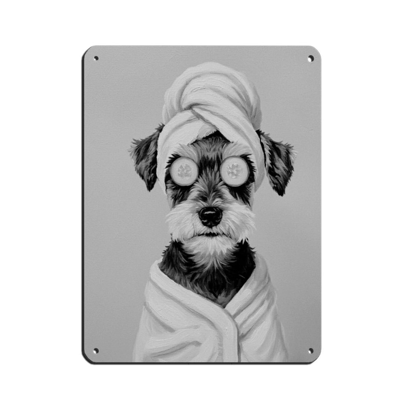 Miniature Schnauzer,dog in Bathrobe Headwrap Retro Poster Metal Tin Sign Chic Art Retro Iron Painting Bar People Cave Cafe Family Garage Poster Wall Decoration 12x16inch(30x40cm)