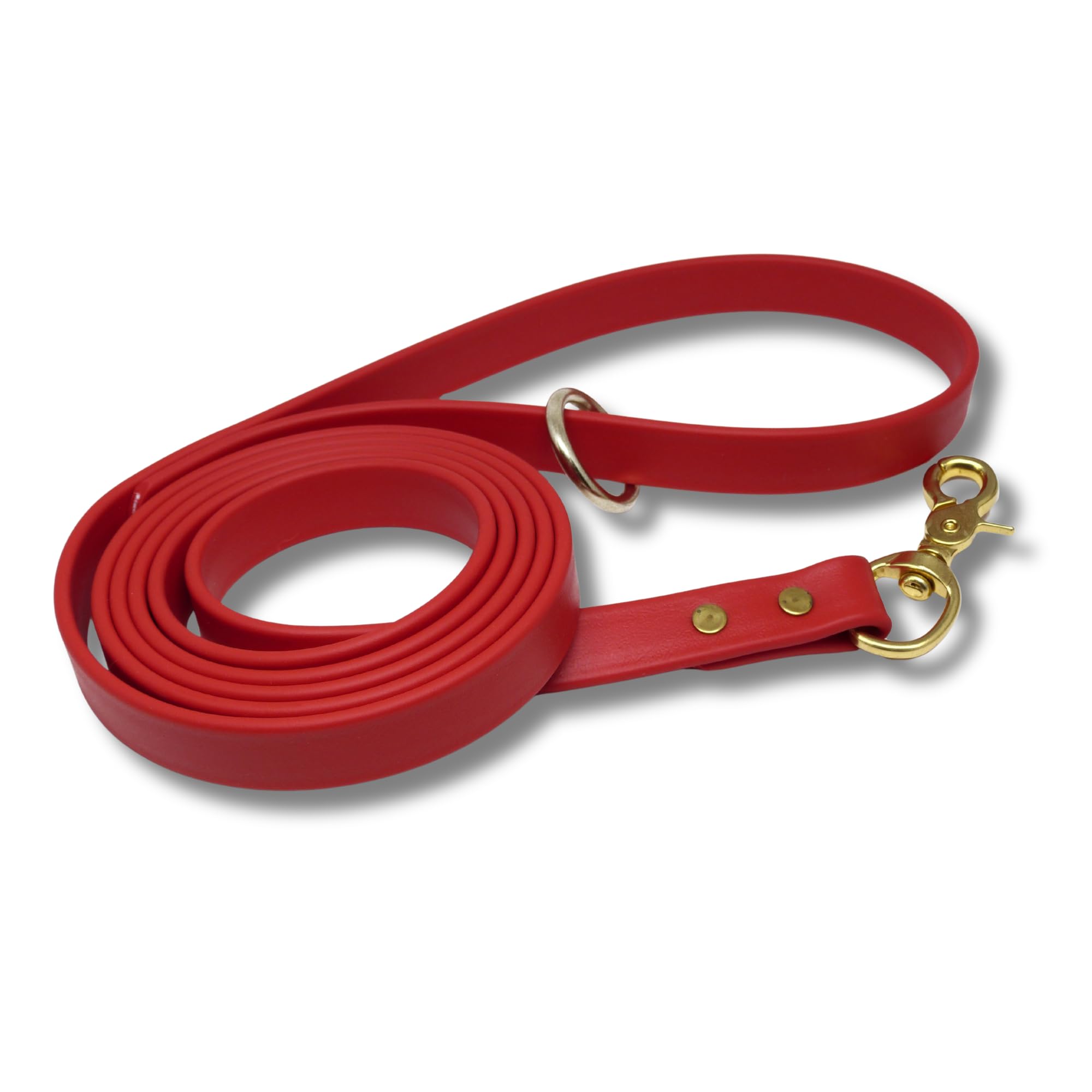 Gummy Laisse de Dressage pour Chien, en biothane, imperméable, résistante aux intempéries, 1,8 m de Long pour Chiens ou Chiots de Petite, Moyenne et Grande Taille, différentes