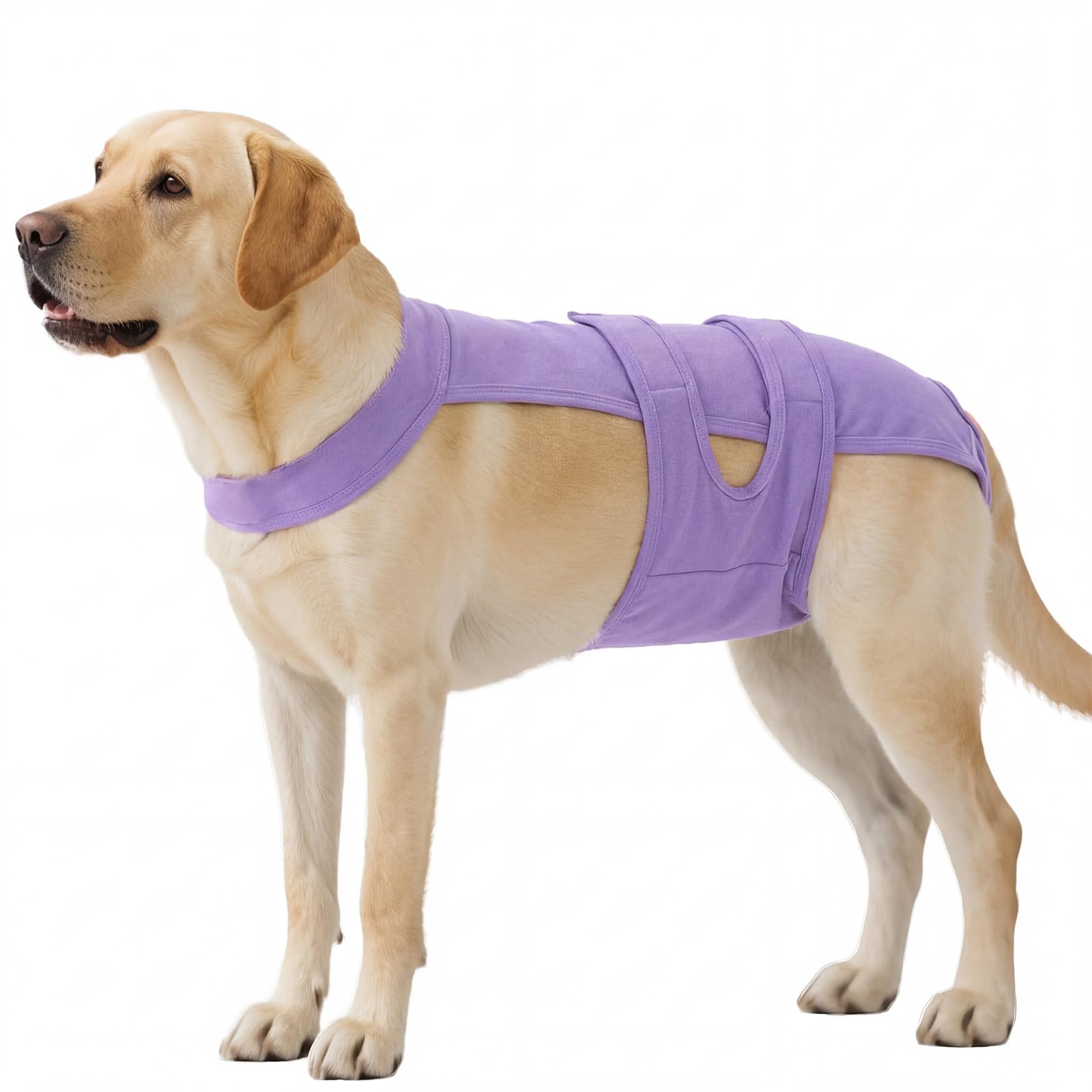 Dog Diapers with Suspenders, Female Escape-Proof Full Body Dog Period Diapers Overalls, Reusable Washable Sanitary Panties for Heat Cycle & Incontinence, Doggie Underwear Onesie with Tail Hole