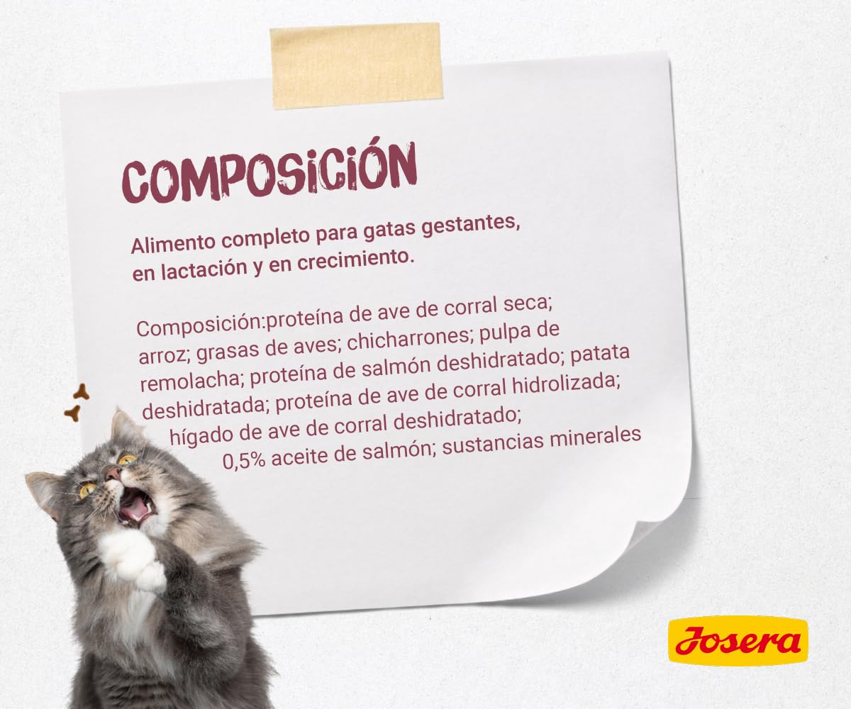 Josera Kitten (1 x 10 kg) | Alimento completo para gatas gestantes, en lactación y en crecimiento 1 unidad