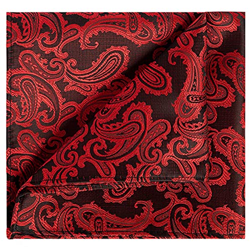 Image of KissTies Mens Paisley Tie And Pocket Square Necktie Sets