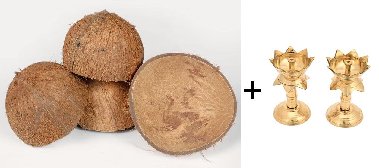 Natural Traditional Coconut Shells (10)