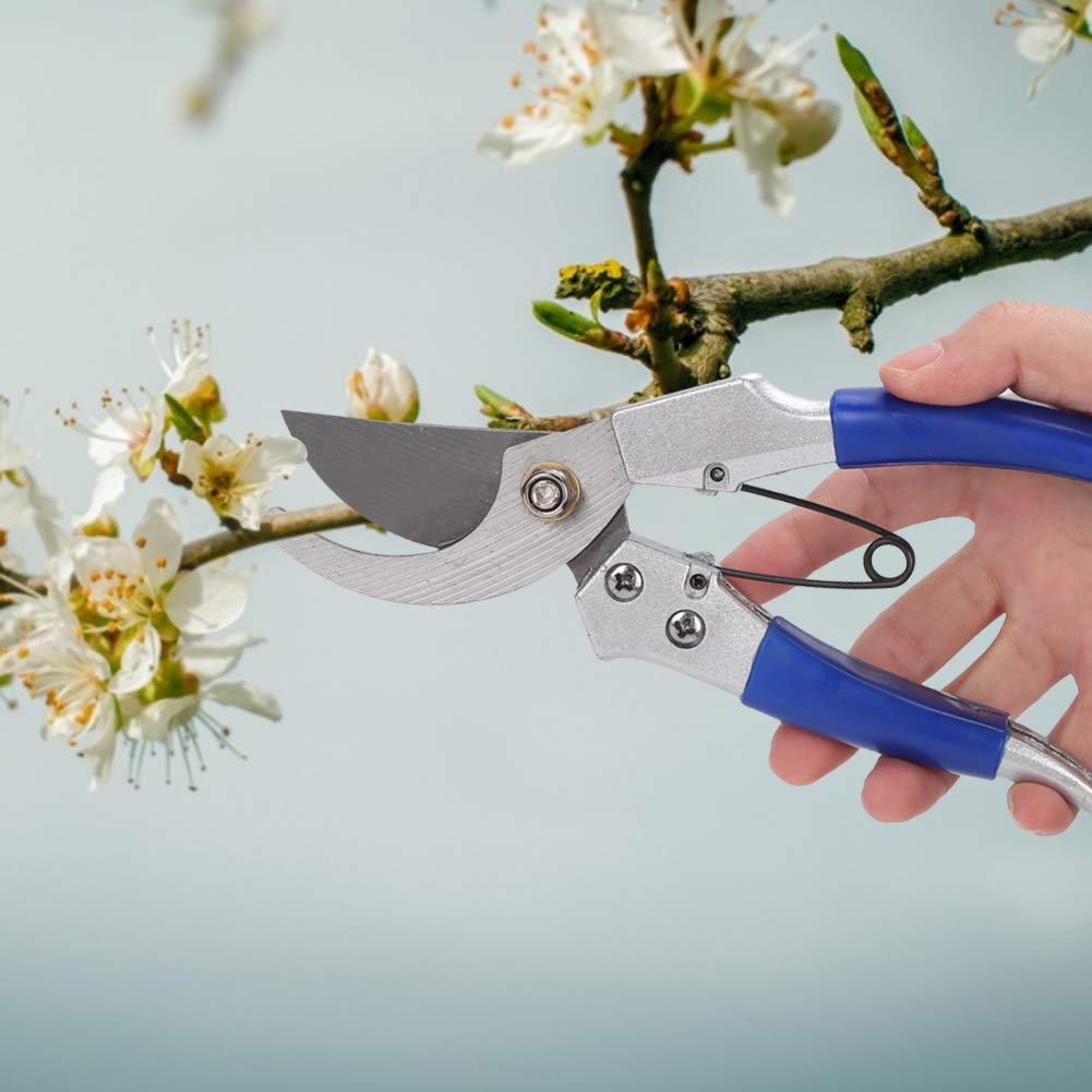 Gartenschere, Gartenschere Edelstahl-Baumschere Pflanzenbaumzweig Blumenschere Werkzeuge Baumschere für die Gartenarbeit Arbeitssparendes Werkzeug