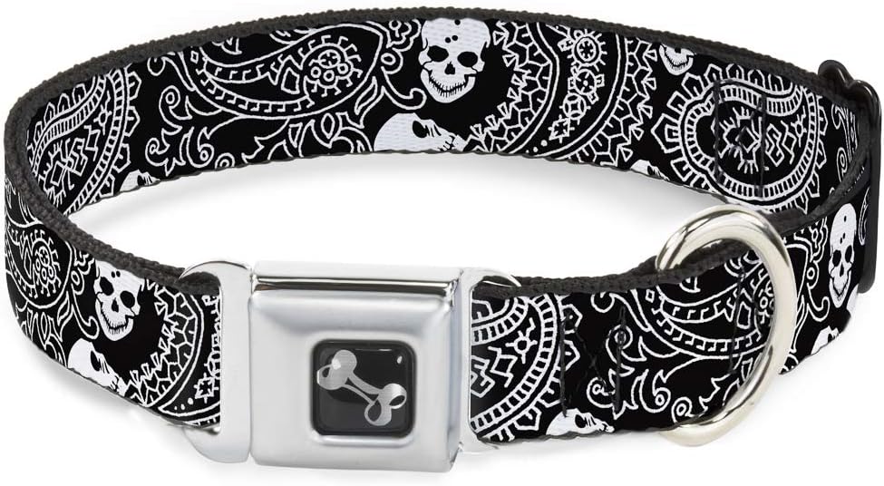 Buckle-Down Seatbelt Buckle Dog Collar - Bandana/Skulls Black/White - 1.5" Wide - Fits 13-18" Neck - Small